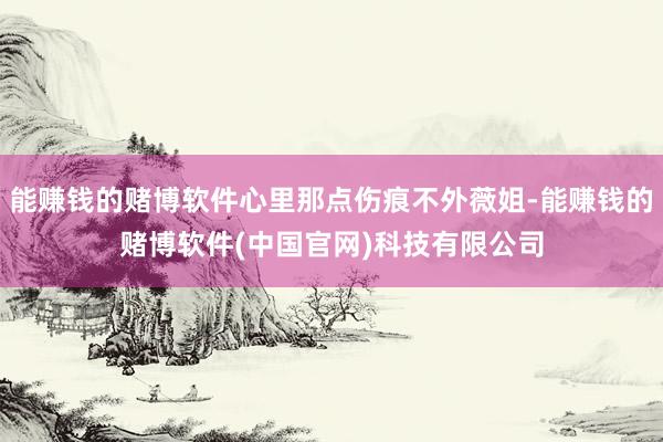 能赚钱的赌博软件心里那点伤痕不外薇姐-能赚钱的赌博软件(中国官网)科技有限公司