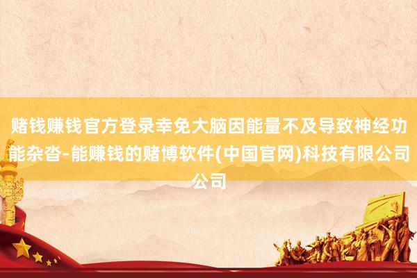 赌钱赚钱官方登录幸免大脑因能量不及导致神经功能杂沓-能赚钱的赌博软件(中国官网)科技有限公司