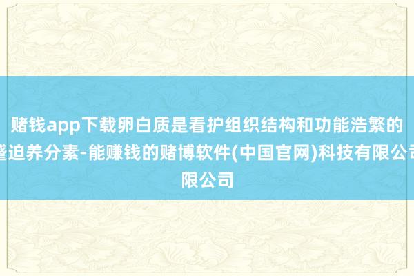 赌钱app下载卵白质是看护组织结构和功能浩繁的蹙迫养分素-能赚钱的赌博软件(中国官网)科技有限公司
