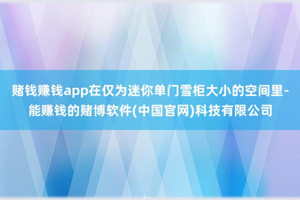 赌钱赚钱app在仅为迷你单门雪柜大小的空间里-能赚钱的赌博软件(中国官网)科技有限公司