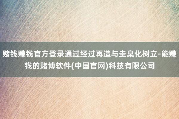 赌钱赚钱官方登录通过经过再造与圭臬化树立-能赚钱的赌博软件(中国官网)科技有限公司