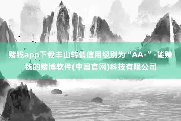 赌钱app下载丰山转债信用级别为“AA-”-能赚钱的赌博软件(中国官网)科技有限公司