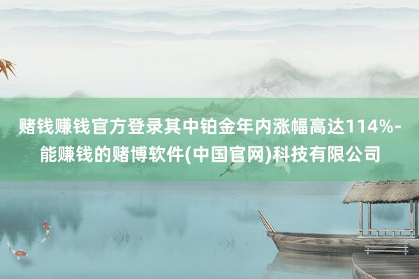 赌钱赚钱官方登录其中铂金年内涨幅高达114%-能赚钱的赌博软件(中国官网)科技有限公司
